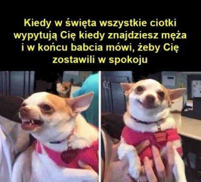 poszukujekota - XD
#heheszki #smiesznypiesek #humorobrazkowy #swieta