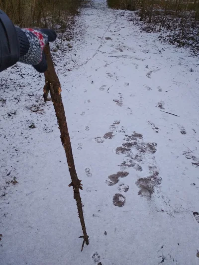 0.....f - Do człowieka to się czasem naprawdę szczęście uśmiechnie. Poszedłem do lasu...