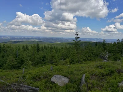 petersen06 - #izery #gory 
Kamienica (niem. Kemnitzberg, 973 m n.p.m.)