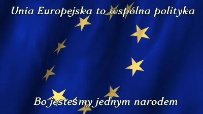 L.....F - Ta flaga wygląda dumnie

#uniaeuropejska #polityka #prawakidupacicho