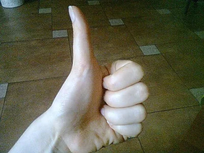 Akayari - @Slazgu: Pozdrawiam, normalny kciuk ᶘᵒᴥᵒᶅ