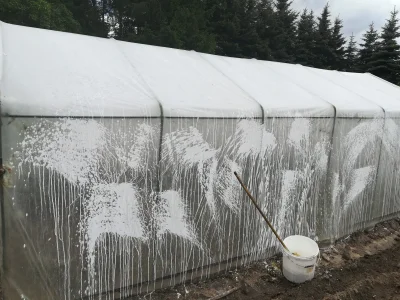 gobi12 - @gobi12: W tym roku tak jak w poprzednim tunel pomalowany został mieszanką w...