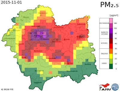 goferek - #krakow #zycienakrawedzi