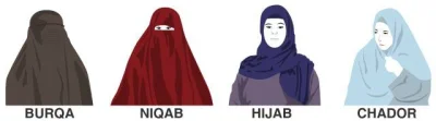 R.....r - @lukr: @Ukrop_war: hijab to nie jest całkowite zakrycie głowy