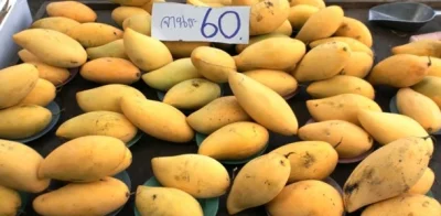 Tapirro - Tak wyglada mango w Tajlandii. no i jest zajebiste w smaku. Maja nawet knaj...