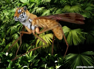 TopDollar - @AKFobia: Tiger-mosquito