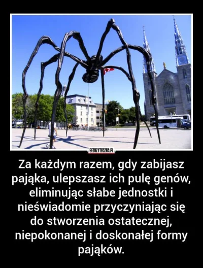 GraveDigger - Szach mat zabijacze pająków :)

#heheszki #pajaki