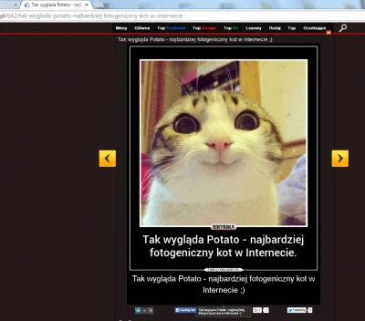 s.....k - Tak wygląda Potato - najbardziej fotogeniczny kot w Internecie ;)

SPOILE...