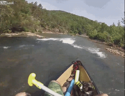 n.....r - Pies za burtą!



SPOILER
SPOILER


#gif #psy #refleks #przygoda