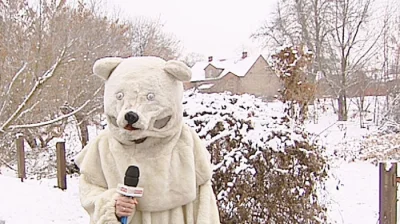 xniorvox - W Białymstoku też białe niedźwiedzie widywali.