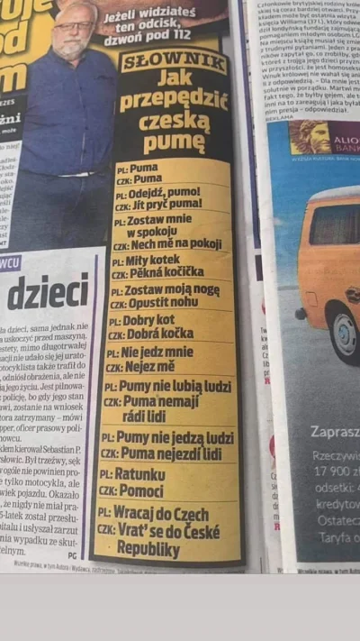 KetchupMocy - Ja #!$%@? xD Jakby ktoś z was spotkał pumę która lata na granicy polsko...