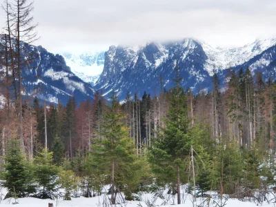 benetti - Po drodze na Rusinową Polanę

#tatry #gory #turystyka