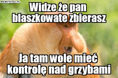 PawelW124 - #polak #nosaczsundajski #nosacz #heheszki #humor #grzyby