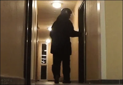 CleMenS - #heheszki #gif #pizza