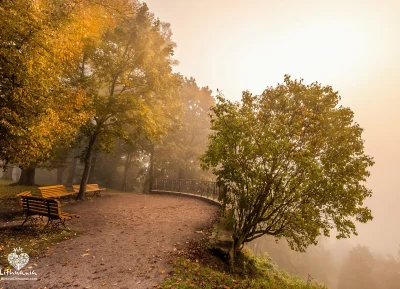 wayrethos - Jesień na Litwie:
#jesien #przyroda #fotografia