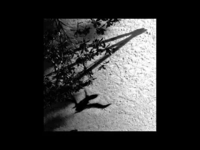 kwiatencja - Max Richter - Shadow Journal

Czekałam na taką aurę za oknem by to wst...