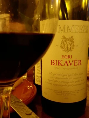 BiletyAutokarowe - #ciekawostki



Słynne węgierskie wino Egri bikavér ("bycza krew")...
