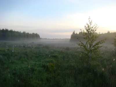 k.....a - Czołem Mirabelki, Mirki!
Jestem tu od dłuższego czasu, jednak nigdy się na...