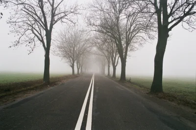 89mnml - #polska #fotografia #35mm #mgła #mojezdjecie