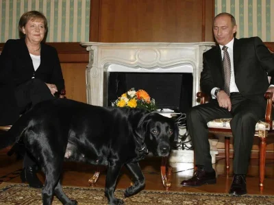 orkako - T pies Putina był. Pewnie usłyszał, że mówią coś o Merkel. ( ͡° ͜ʖ ͡°)