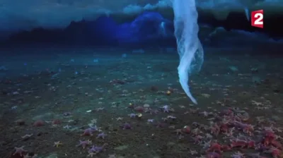 p.....y - Lodowe stalaktyty

W oceanicznych wodach wokół biegunów jest zaskakująco ...