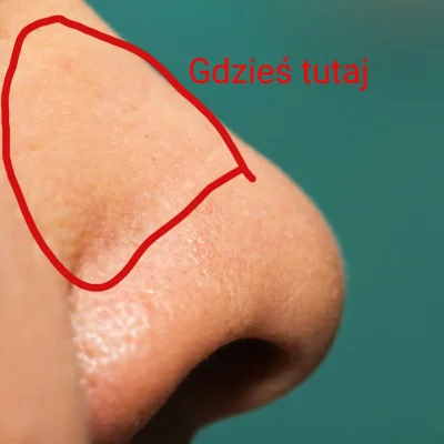 Ktos27 - Uwaga #protip: 

Ściskanie nosa mniej więcej na środku powstrzymuje kichnięc...
