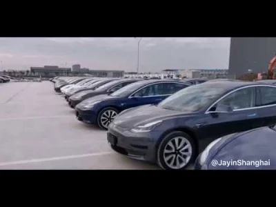 anon-anon - Gigafactory 3 Exclusive Video: Hundreds of Tesla MIC Model 3 in parking l...