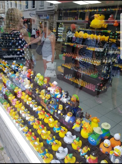 Peperoo - #operacjakaczucha sklep z kaczkami w Amsterdamie