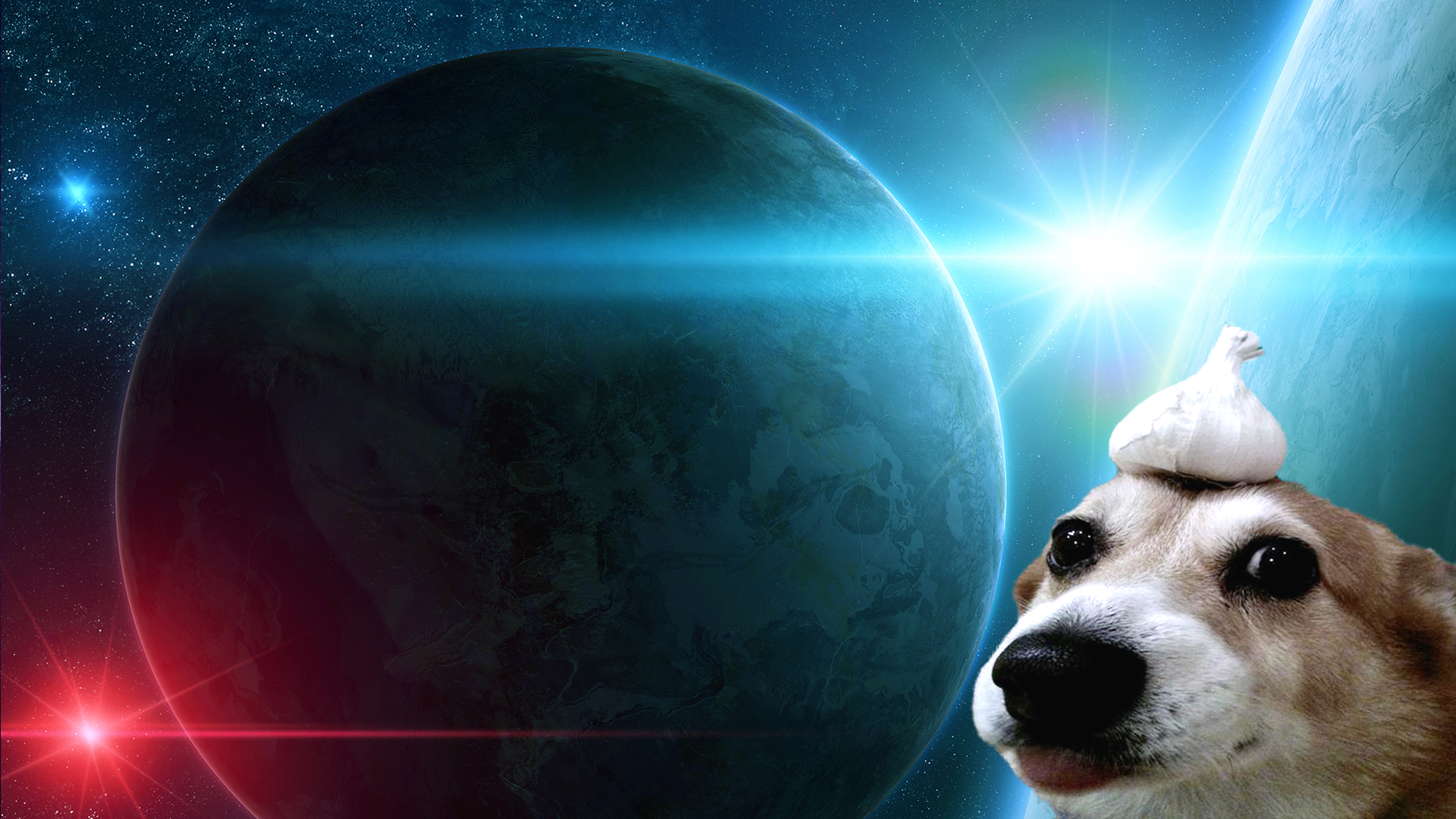 Собака на фоне космоса