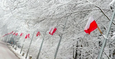 Jeloops - A tak rok temu wyglądał #bialystok na #11listopada ʕ•ᴥ•ʔ
#zima ##!$%@? ##!$...