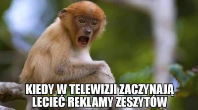 Deku - #heheszki #humorobrazkowy #dekucontent #podbaza #licbaza #gimbaza #nosaczsunda...