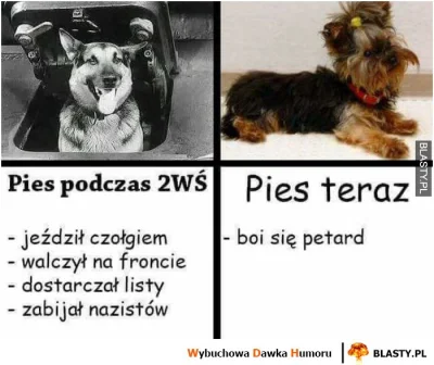 zlotypiachnaplazy - @tenloginjestjuzzajety: No nie sądzę ;) Kiedyś to były psy, dziś ...
