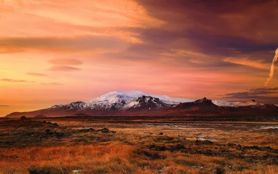 mehen - Islandzka #tundra.
#natura #krajobraz #zachodslonca