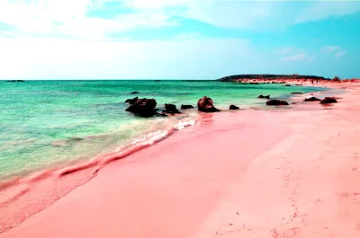 z.....a - PINK SAND BEACH, HARBOUR ISLAND, ELEUTHERA, BAHAMAS

#plaza #bahamy