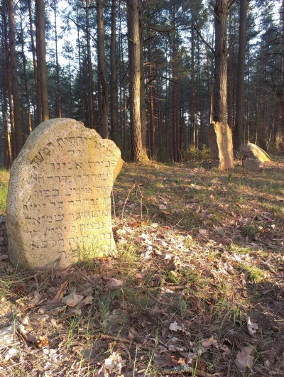 Islam - Ktoś zna hebrajski?

Zdjęcie zrobiłem na starym, opuszczonym cmentarzu żydows...