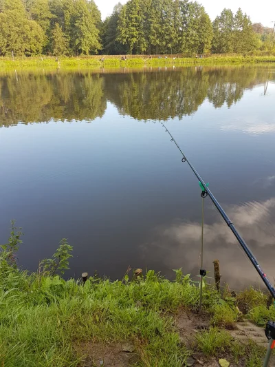 legolas115 - Ci co relaksują się w ten piękny sobotni poranek plusujo, Ci co kacujo m...