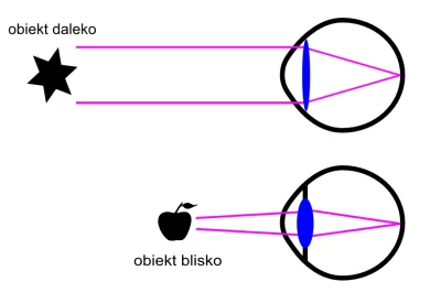 rukh - @solusek: Coraz więcej osób w wieku szkolnym ma krótkowzroczność. Spowodowane ...