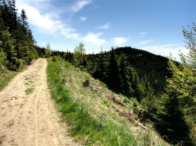 wspodnicynamtb - Już w czwartek (｡◕‿‿◕｡)
#mtb #beskidy