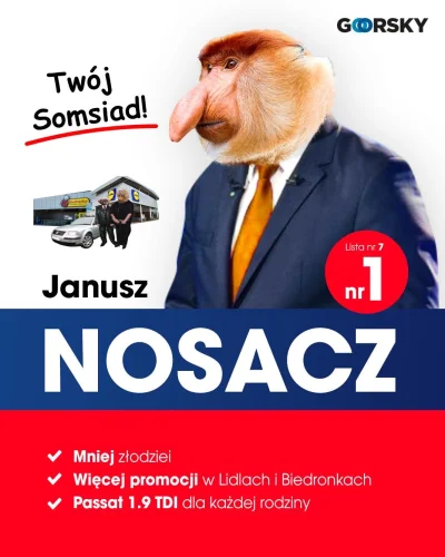 goorskypl - Mój kandydat❤️ #goorsky #humor #wybory #wybory2019 #polityka #polska