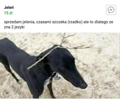 RezolutnyPasikonik - to chyba ten sam xD