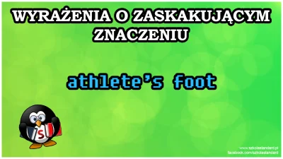 PalNick - #szkolastandard

Athlete's foot = stopa sportowca? Cóż, w pewnym sensie t...