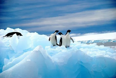 S.....r - MIEJSCE DNIA: Antarktyda cz1

#miejsca #antarktyda #zdjecia #fotografia