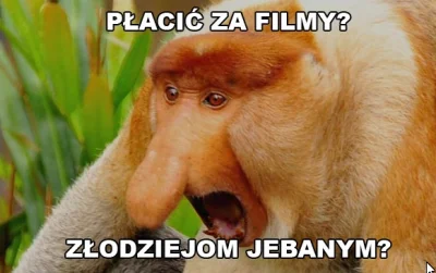 odomdaphne5113 - @Janes: Ściągałem kiedy nie było innej możliwości oglądania filmów. ...