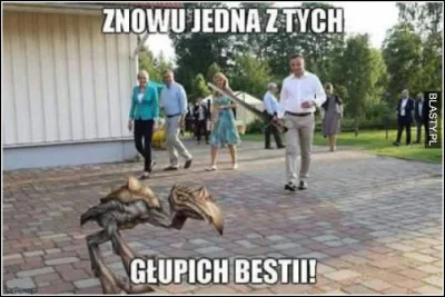 Cocat - #cenzoduda #heheszki #humorobrazkowy