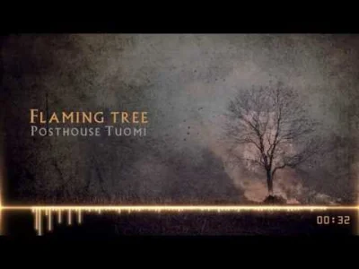 D.....i - Posthouse Tuomi - Flaming Tree

Świetny instrumental. Podkład muzyczny do f...