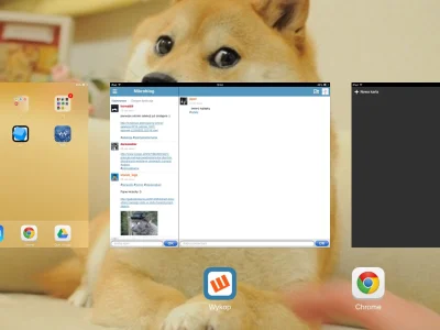 B.....f - #doge najlepszą tapetą dla #apple #ios7