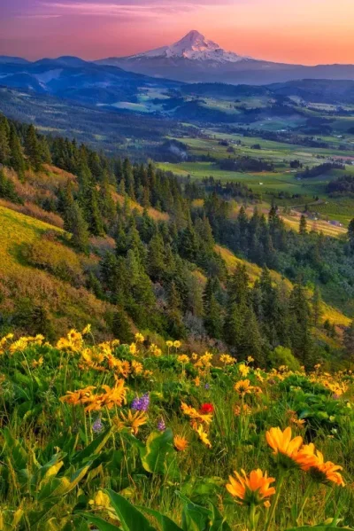 Y.....r - Hood River Valley, Oregon, USA

Autor zdjęcia: Michael Brandt

#earthpo...
