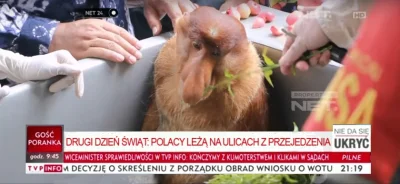 Hrrr_tfu - #nosaczsundajski #humorobrazkowy #heheszki #polak #tvpis