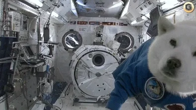 Spook - To się dzieje naprawdę! NASA wysłała dwóch astronautów oraz naszego pieseła n...