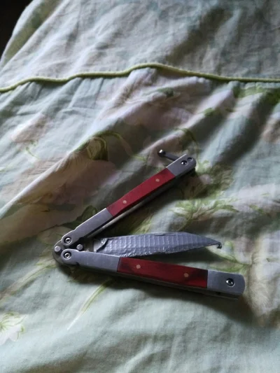 Krx_S - A wy dalej spinnery na kiju? (⌐ ͡■ ͜ʖ ͡■)
#nadtag #spinner #knifeboners